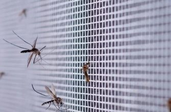 мухи, комары